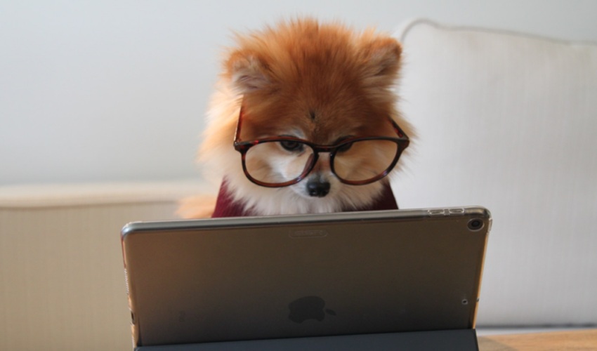 Ce este Managementul configurației?